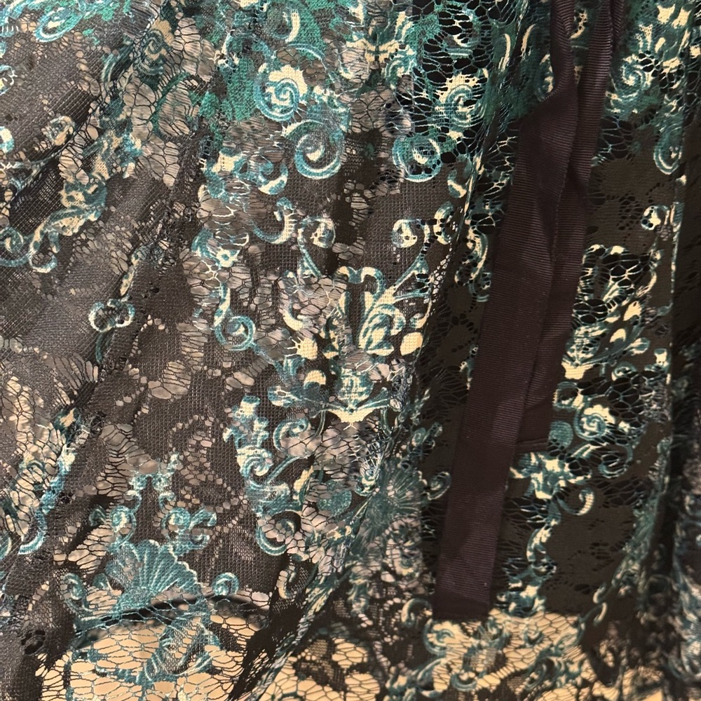 Danny and nicole sleeveless lined lace dress  new - Picture 3 of 6